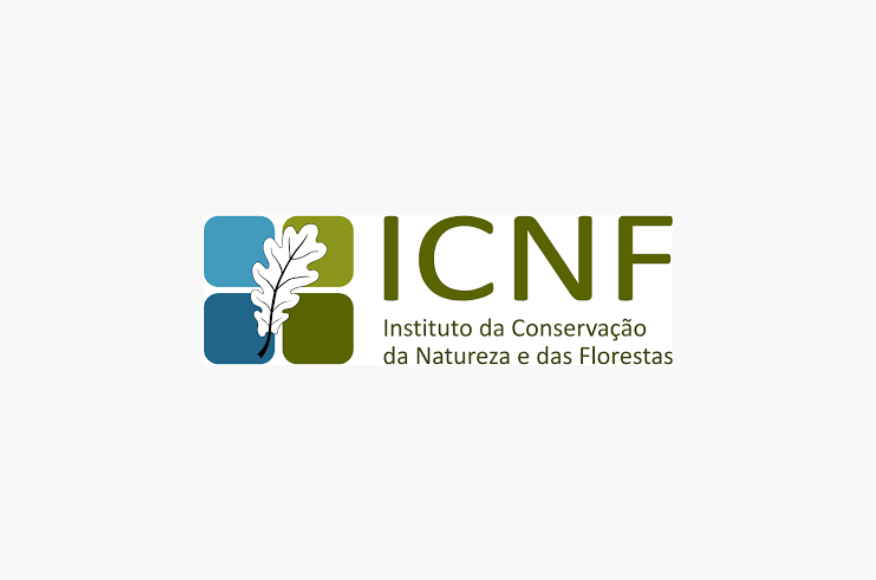 Opera&ccedil;&otilde;es de Gest&atilde;o Florestal - Tempestade Kristin